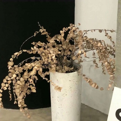 Furry角色性格塑造技巧兽圈社群